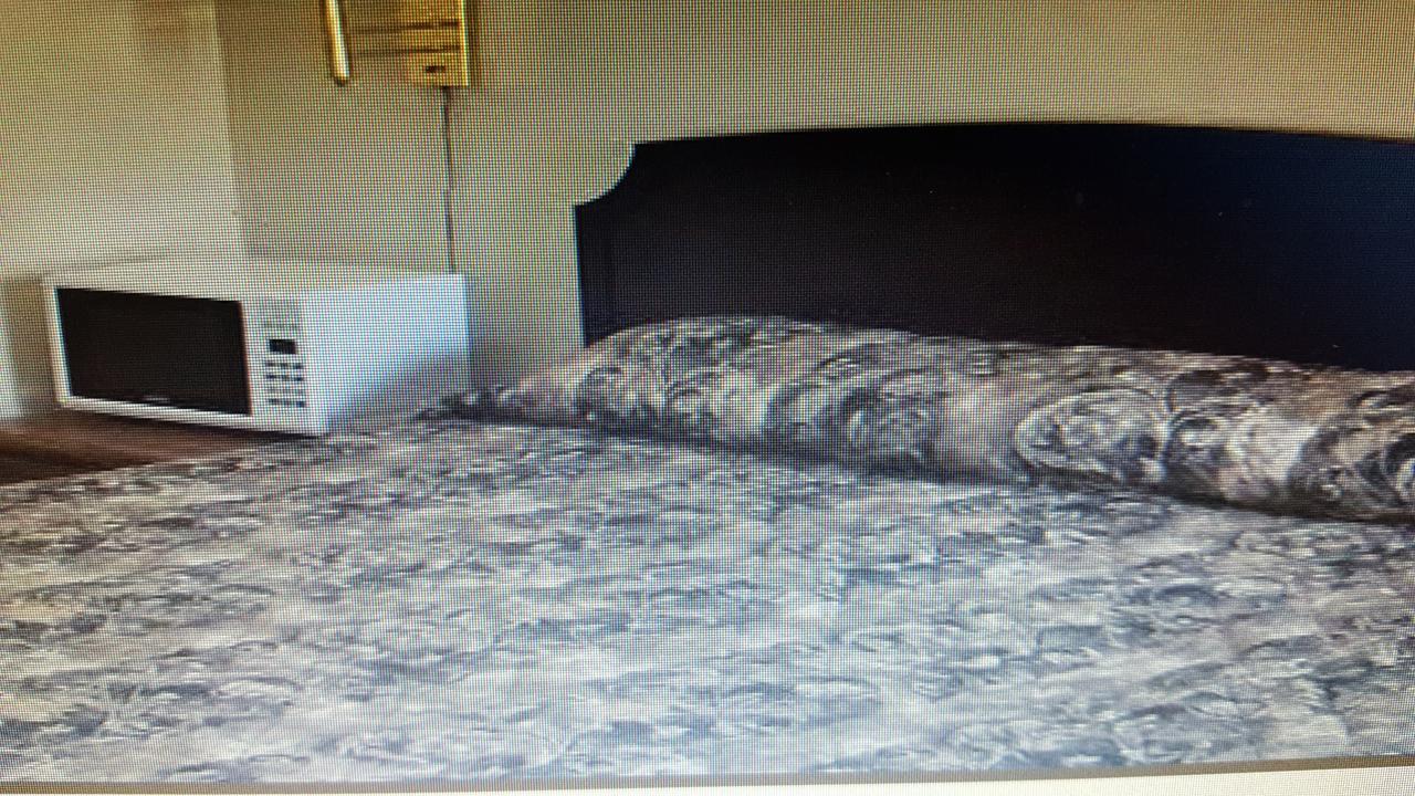 Relax Inn Montour Falls Luaran gambar